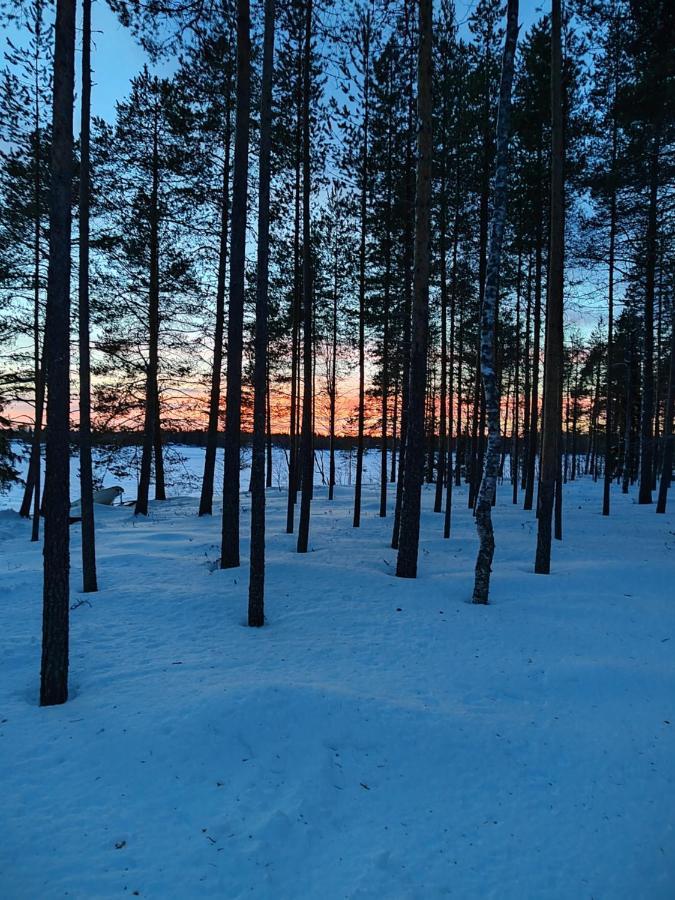Norvalisma Villa Rovaniemi Eksteriør bilde